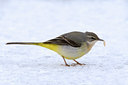 BUITEN BEELD Foto: 80866