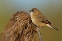 BUITEN BEELD Foto: 80929
