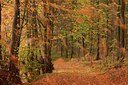 BUITEN BEELD Foto: 80993