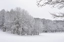 BUITEN BEELD Foto: 81024