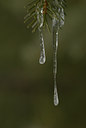 BUITEN BEELD Foto: 81102