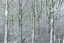 BUITEN BEELD Foto: 81201