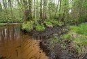 BUITEN BEELD Foto: 81268