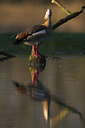 BUITEN BEELD Foto: 81501