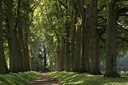 BUITEN BEELD Foto: 81514
