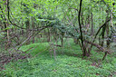 BUITEN BEELD Foto: 81525