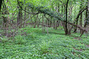 BUITEN BEELD Foto: 81526