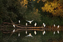 BUITEN BEELD Foto: 81568