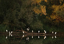 BUITEN BEELD Foto: 81571