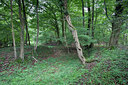 BUITEN BEELD Foto: 81577