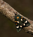 BUITEN BEELD Foto: 81698