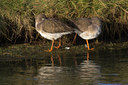 BUITEN BEELD Foto: 81709