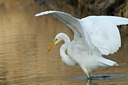 BUITEN BEELD Foto: 81831