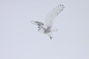 BUITEN BEELD Foto: 81891