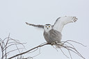 BUITEN BEELD Foto: 81957