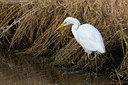 BUITEN BEELD Foto: 81983