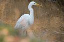 BUITEN BEELD Foto: 81986
