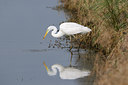 BUITEN BEELD Foto: 81998