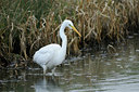 BUITEN BEELD Foto: 81999
