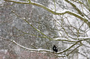 BUITEN BEELD Foto: 82007