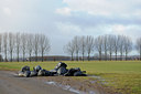 BUITEN BEELD Foto: 82012