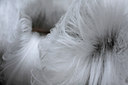 BUITEN BEELD Foto: 82013
