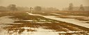 BUITEN BEELD Foto: 82030
