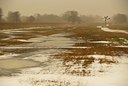 BUITEN BEELD Foto: 82032