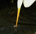 BUITEN BEELD Foto: 82042