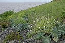 BUITEN BEELD Foto: 82084
