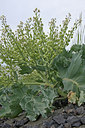 BUITEN BEELD Foto: 82086