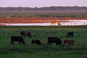 BUITEN BEELD Foto: 82140