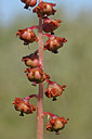 BUITEN BEELD Foto: 82169