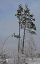 BUITEN BEELD Foto: 82201
