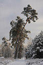 BUITEN BEELD Foto: 82202