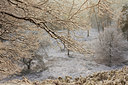 BUITEN BEELD Foto: 82208