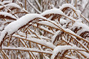 BUITEN BEELD Foto: 82220
