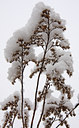 BUITEN BEELD Foto: 82225