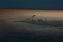BUITEN BEELD Foto: 82267