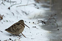 BUITEN BEELD Foto: 82318