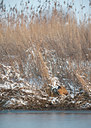 BUITEN BEELD Foto: 82358