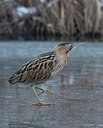 BUITEN BEELD Foto: 82361