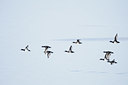 BUITEN BEELD Foto: 82371