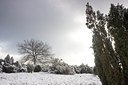BUITEN BEELD Foto: 82494