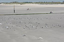 BUITEN BEELD Foto: 82503