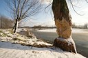 BUITEN BEELD Foto: 82525