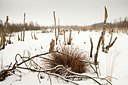 BUITEN BEELD Foto: 82531