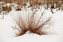 BUITEN BEELD Foto: 82540