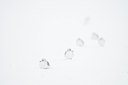 BUITEN BEELD Foto: 82548