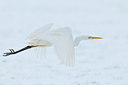 BUITEN BEELD Foto: 82562